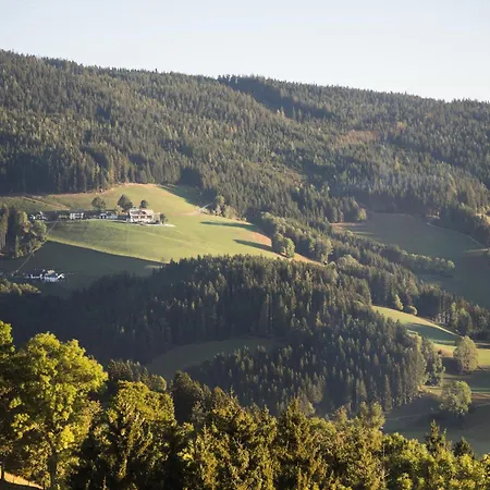 Almblick Chalet *