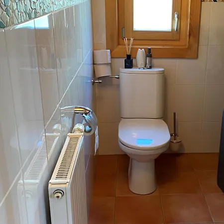 Almblick * Fischbach