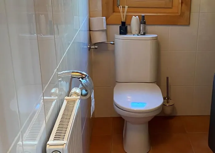 Almblick * Fischbach